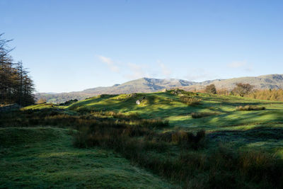 Scenic view of landscape against sky