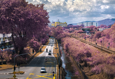 High angle view of city street