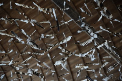 Full frame shot of ice