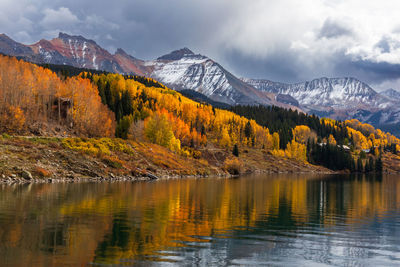 Scenic autumn landscape with aspen trees  in the san juan mountains near telluride, colorado