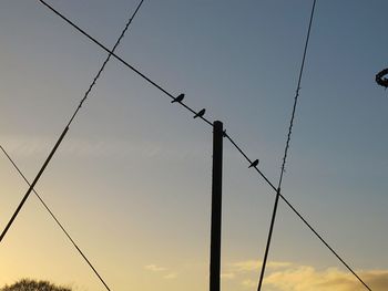 Low angle view of silhouette birds perching against sky