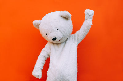 Close-up of bear gesturing against orange background