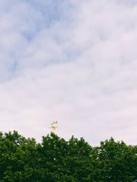 Low angle view of trees against sky