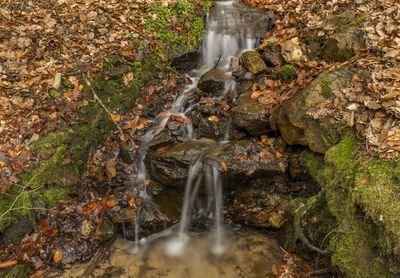 Waterfall in forest