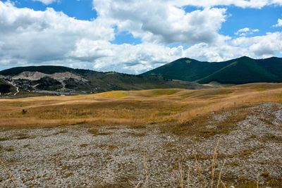 Scenic view of landscape against sky