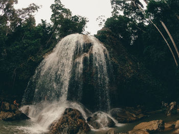 Scenic view of waterfall in forest