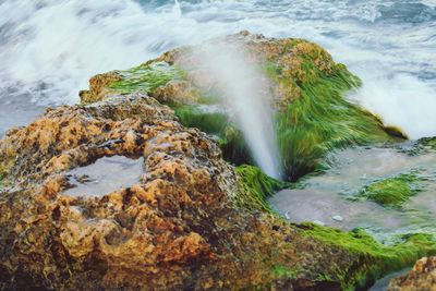 Scenic view of waterfall