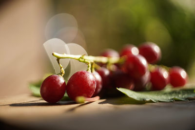 Close-up of strawberries on table