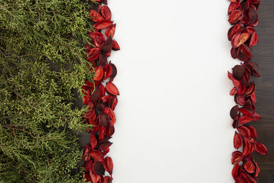 Directly above shot of red berries over white background