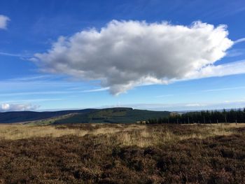 Scenic view of field against blue sky