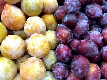 High angle view of fruits at market