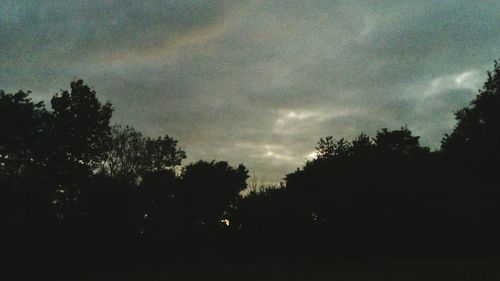 Silhouette of trees against cloudy sky