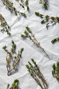 Thyme sprigs,