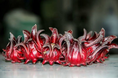 Close-up of cherries in water