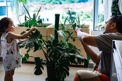 Family oiling the houseplant leaves, taking care of plant monstera. home gardening.