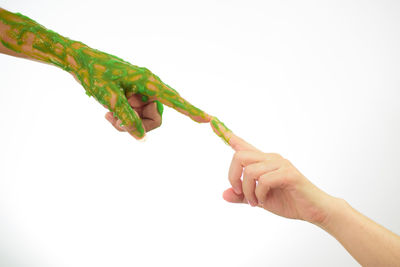 Close-up of hand holding leaf over white background