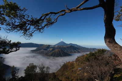 Scenic view of trees and mountains against sky