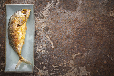 High angle view of fish on table against wall