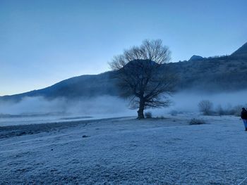 winter