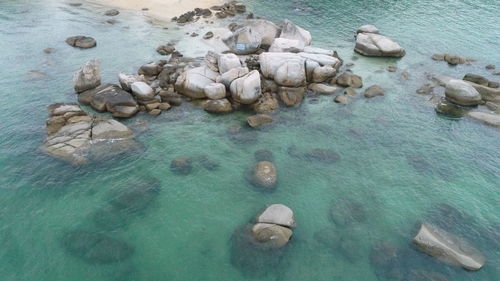 High angle view of sea shore