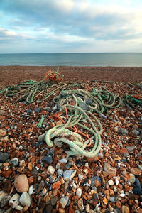 Aerial view of stones on beach