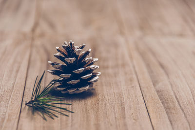 Close-up of pine cone on table