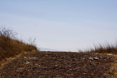 Surface level of land against clear sky