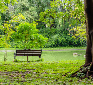 Empty bench in park