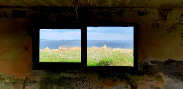 Trees seen through window of abandoned building