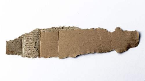 Close-up of bread on white wall