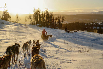 People standing on snow covered field