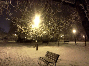 Empty bench at night