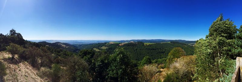 Scenic view of landscape against clear blue sky