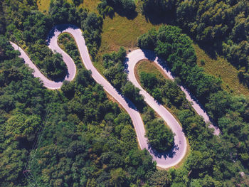 High angle view of road through trees