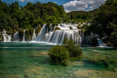 Scenic view of waterfall in forest