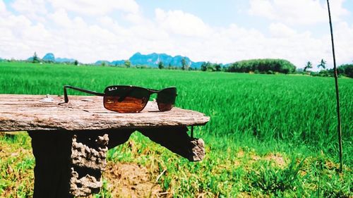 View of log on field against sky