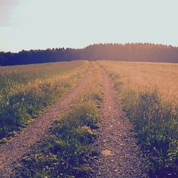 Dirt road passing through field