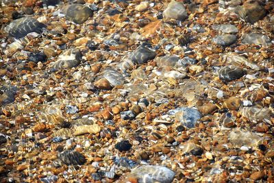 Full frame shot of pebbles at beach