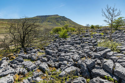 Scenic view of mountain against sky