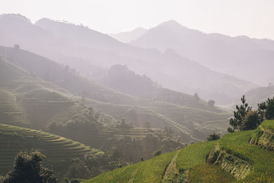Scenic view of agricultural field by mountains against sky in vietnam