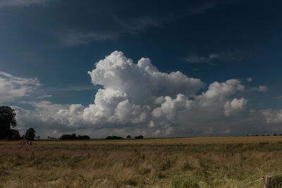 Scenic view of grassy field against cloudy sky