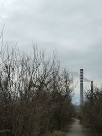 Plants growing by building against sky