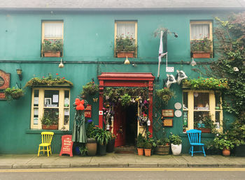 Potted plants outside building