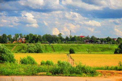 Scenic view of agricultural field against sky