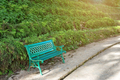 Chairs and plants on landscape