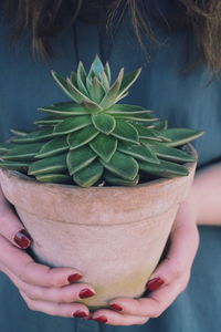 Midsection of woman holding leaf