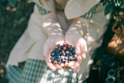 High angle view of woman holding fruits