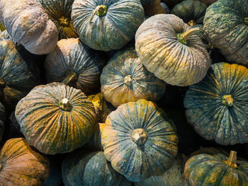Full frame shot of pumpkins at market