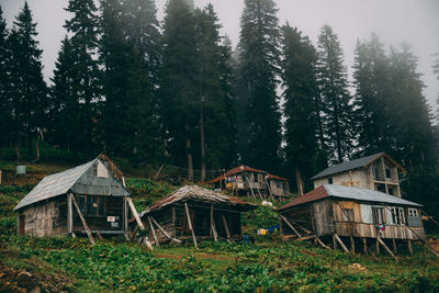 House amidst trees and plants on field in forest