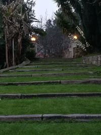Illuminated trees against sky